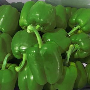 아삭한 국내산 청피망 1kg(특)