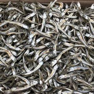 국내산 볶음조리용으로 좋은 고가멸치 1.5kg