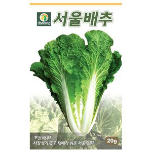 서울배추씨앗(조선배추) 20g[CL]