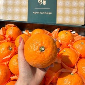 제주특산물 카라향 선물용가방 3kg(10-20과) 웰빙과일 고당도 10브릭스이상