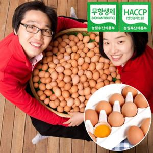 [알찬농장]친환경 무항생제 유정란 60구