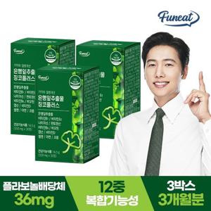 퍼니트 기억력 혈행개선 은행잎추출물 징코플러스 3박스 3개월분