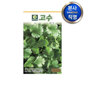 건강 고수 씨앗 200립 . 야채 채소 텃밭 파종 재배 주말 농장 씨 종자