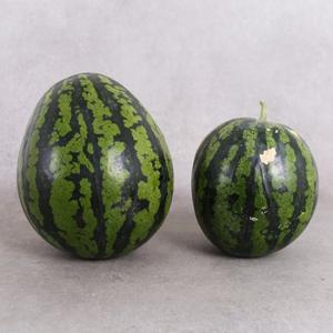 [산지직송] 부여 정용규님의 못난이 수박 [7kg 이상]