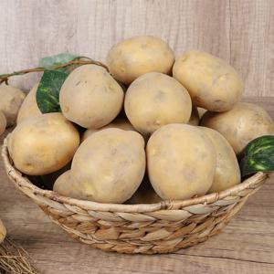 [신선하랑] 국내산 포슬포슬 두백감자 10kg 대