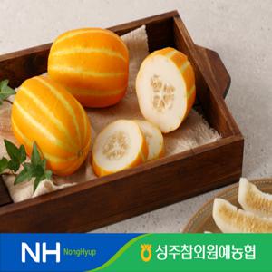 [25년 수확] 성주참외원예농협  꿀참외 5kg (11~15수, 개당 330~500g)