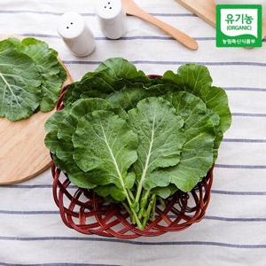 [자연맛남 채소] 유기농 쌈케일 1kg
