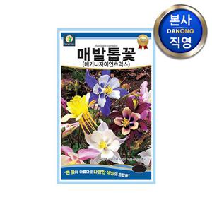매발톱꽃 메카나자이언츠믹스 씨앗 400립 . 다년생 혼합 야생화 꽃 꽃씨 종자