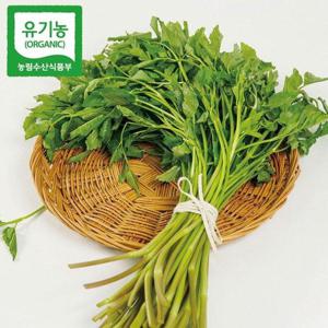 갤러리아_[농부마음]청도 유기농 미나리 600g 당일수확