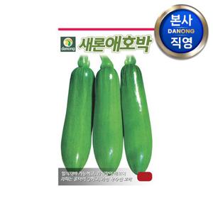 새론 애호박 씨앗 60립 . 야채 채소 텃밭 파종 재배 주말 농장 씨 종자
