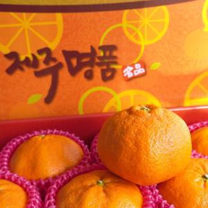 [더조은] 제주직송 고당도 레드향 5kg (대 17-20개)