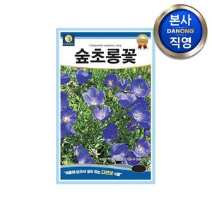 숲초롱꽃 씨앗 200립 . 다년생 보라색 야생화 꽃 식물 텃밭 화단 꽃씨 종자.