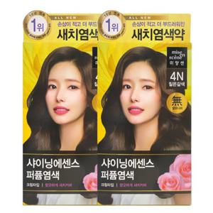 [미쟝센]미쟝센 올뉴 샤이닝에센스 4N 짙은갈색 x2 /염색약