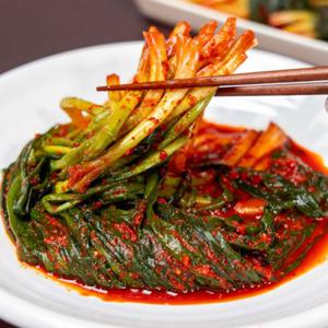 전라도 모든 재료 모두 국내산 여수 파김치 3kg (푸드)