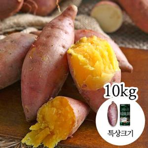 [감동 고구마]해남 세척 꿀고구마 10kg 특상
