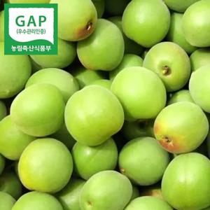 GAP인증 하동 청매실 10kg(왕왕특,39mm이상)