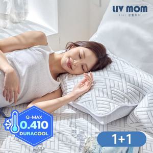 리브맘 매일 바꿔쓰는 듀라쿨 아이스냉감 베개커버 1+1 40x60