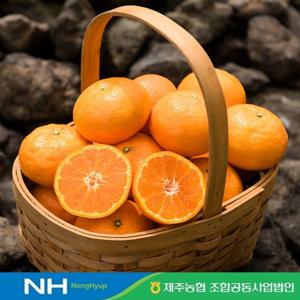 [제주농협] 귤로장생 카라향 3kg