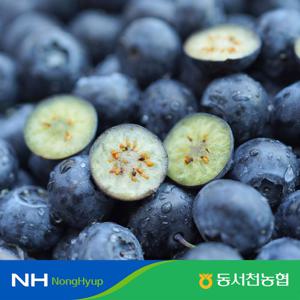 [특등급][동서천농협] 햇 블루베리 200g X 4팩(총 800g)
