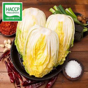 갤러리아_HACCP 해남 절임배추 20kg / 목요일 출발 금요일 도착