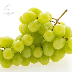 [웰굿] 달콤한 씨없는 애플 청포도 2kg(4-6수)