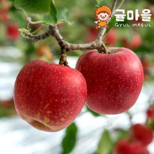 경북 가정용 보조개 부사사과 2kg 중과 9과내