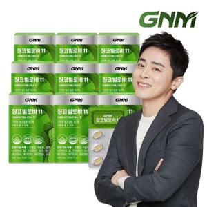 갤러리아_GNM 징코빌로바11 9박스 / 은행잎추출물 비타민B 아연 판토텐산