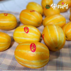 갤러리아_식탐대첩 못난이 성주 꿀참외 2kg 소과 11-16개