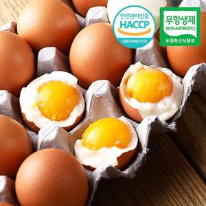 [무항생제/HACCP]웰굿 촉촉한 반숙계란 반숙란 30구(1판)