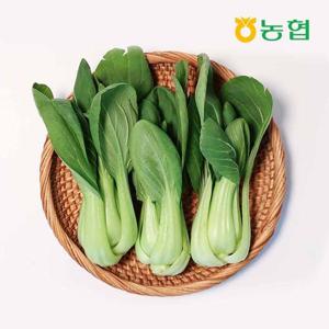 [자연맛남] 농협선별 신선한 청경채 1kg