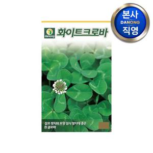 화이트 크로바 씨앗 20g . 클로버 크로버 토끼풀 토양 침식 잡초 방지 씨 종자.
