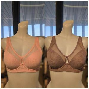 갤러리아_[FILA언더웨어]커버리지 노와이어 브라 2종중 택 1 FI4BAG3641F