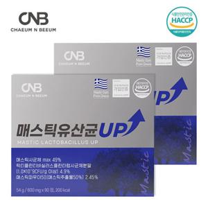 채움앤비움 매스틱 유산균 UP 2박스 3개월분