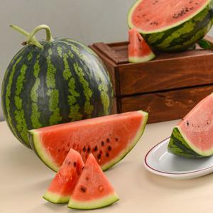 당도선별 하우스 수박 정품 5-6kg 에어셀 안전포장