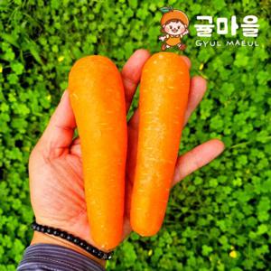 귤마을 제주 아삭한 세척 구좌당근 3kg 상