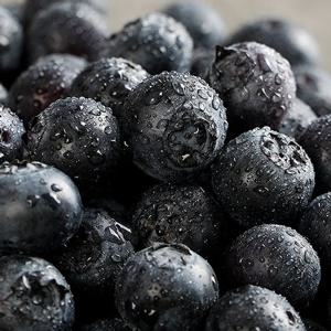 제주 무농약 블루베리 1kg 혼합 특대~왕특