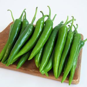[올즈마켓]입맛도는 매콤한 풋고추 상 1kg