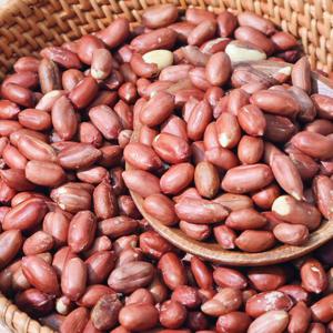 국내산 볶음땅콩 500g 2봉