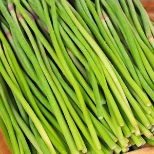 [신선하랑] 아삭하고 신선한 고흥 마늘쫑 4kg