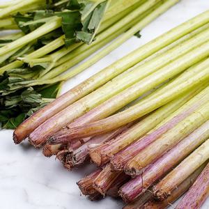 머위대 4kg-특