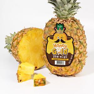 감숙왕 고당도 허니골드 파인애플 5수 (개당중량 1kg 내외)