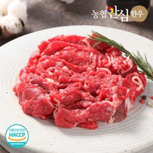 농협안심한우 1등급 한우 불고기 600g(300g x 2팩)