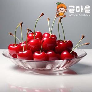 귤마을 달콤한 항공직송 생 체리 2kg 10row