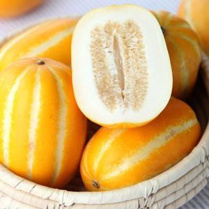 경북 성주 꿀참외 특품 소과 3Kg 15~22과(개당 130g이상)