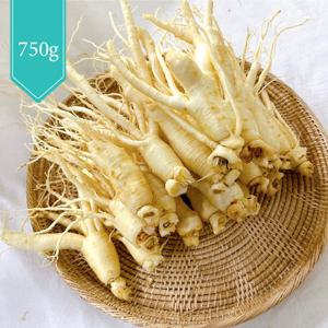 [데오인삼] 6년근 세척인삼 750g