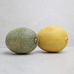 [오늘신선] 경북 고령 성산면 제철과일 하미과 멜론 그린+골드 혼합 5kg 3-5과 내외