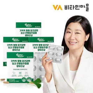 비타민마을 기억력 혈행 장건강엔 징코 은행잎추출물 생유산균 (생균보호 ALUALU포장) 4박스 총120캡슐