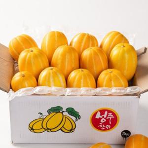 [대한민국농수산] 산지직송 성주 꿀 참외 가정용 참외 대용량 10kg