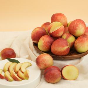 [자연품애 복숭아] 신비복숭아 2kg 중대과 (6/9출고)