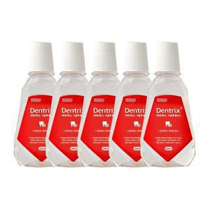 [APP 전용] 동국제약 덴트릭스 가글액 플러스 250ml 5개 (정상가 34,500 최대 71%할인)